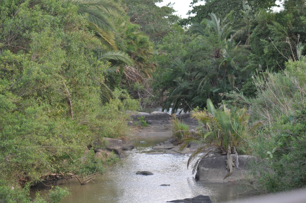 Blick auf den Fluss im Reservat (© C. Hebrank, 2013)