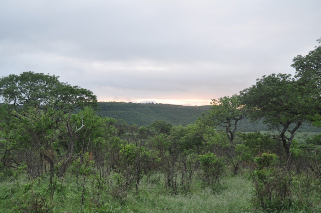 Ausblick über den Hluhluwe-iMfolozi Nationalpark (© Cornelia Hebrank, 2013)
