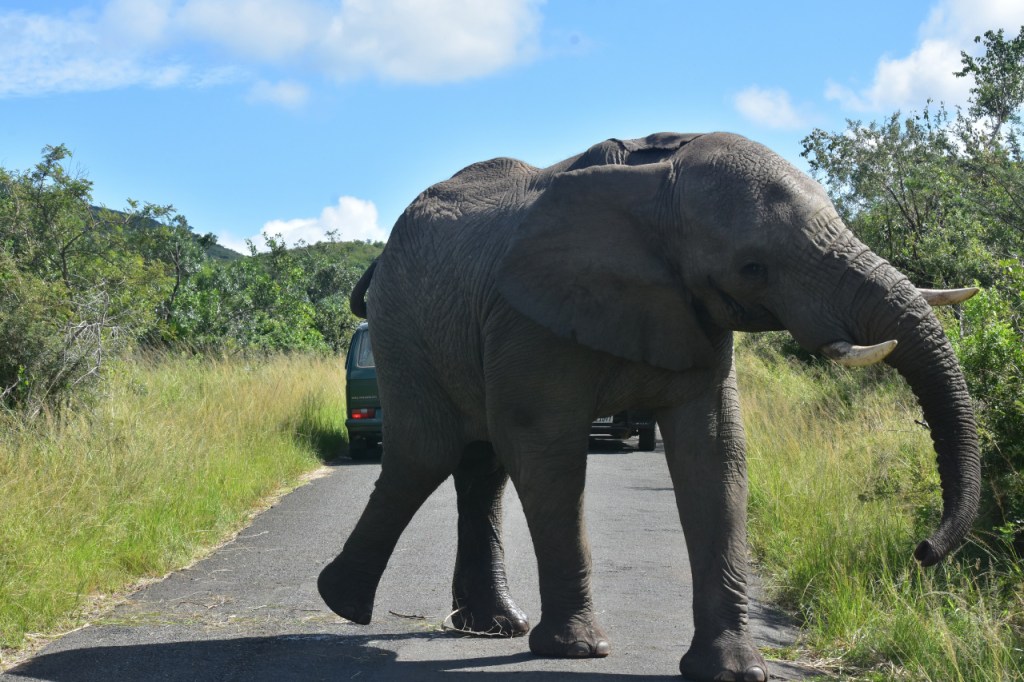 Afrika-Abenteuer 2024: Tag 3 – Das volle&nbsp;Programm