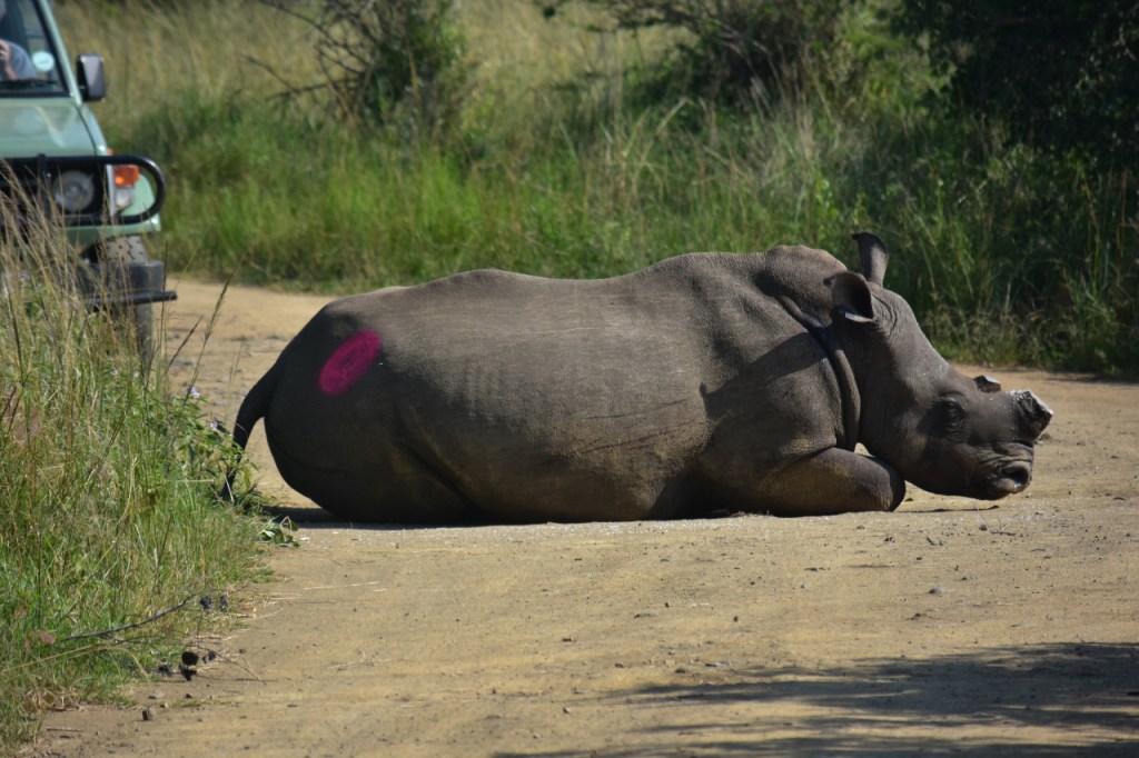 Afrika-Abenteuer 2024: Tag 4 – Ab in den&nbsp;Süden