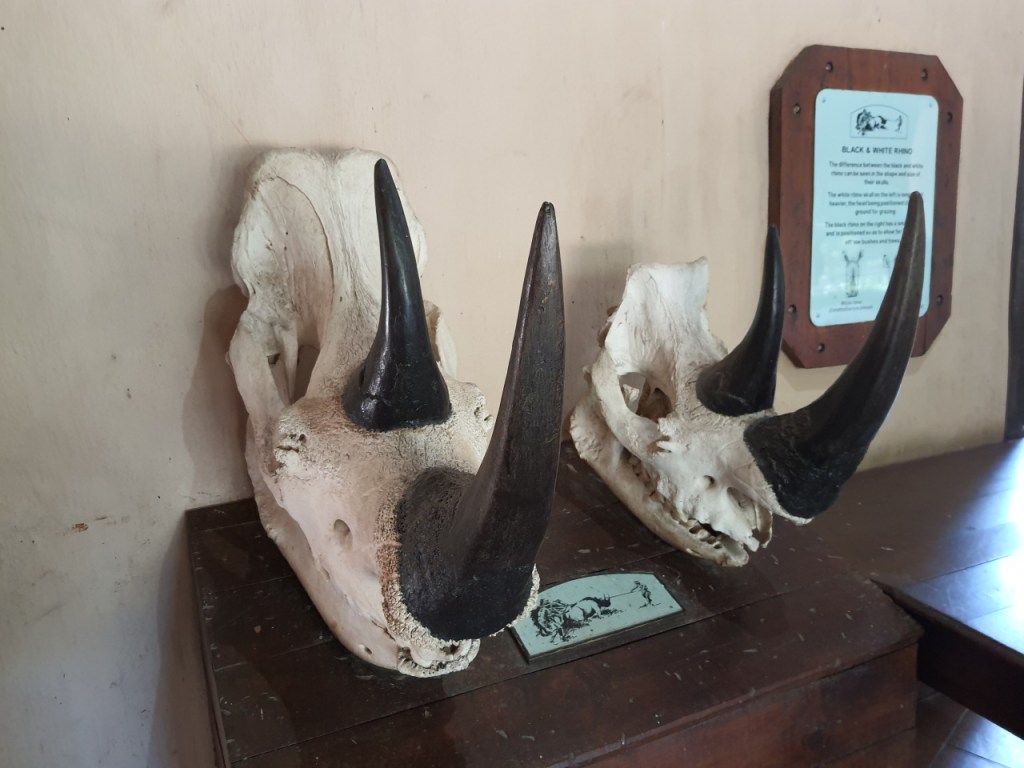 Afrika-Abenteuer 2024: Tag 6 – Ein Ausflug in die&nbsp;Vergangenheit