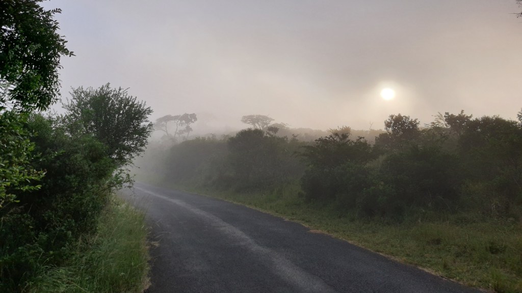 Eine Straße im Nebel bei Sonnenaufgang (© Cornelia Hebrank, 2024)
