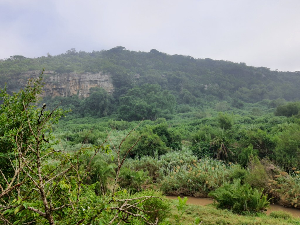 Ausblick auf ein Felsenkliff im Rest des Nebels (© Cornelia Hebrank, 2024)