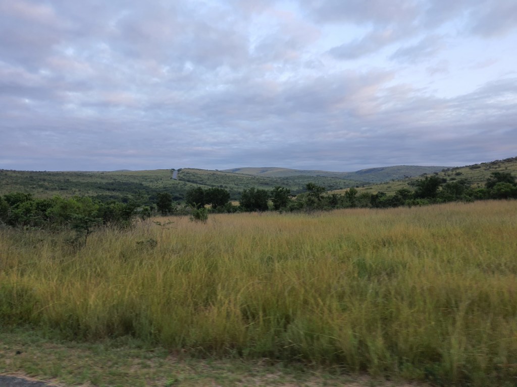 Ausblick über den Park unter Wolken (© Cornelia Hebrank, 2024)