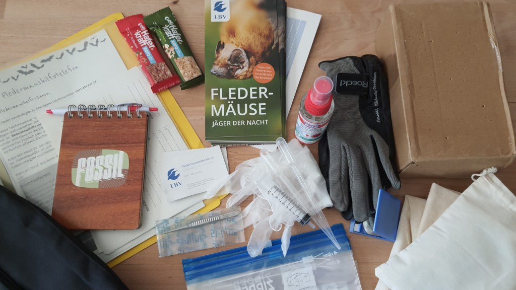 Übersicht über die Materialen, die man als Fledermaushelfer typischerweise dabei hat. 