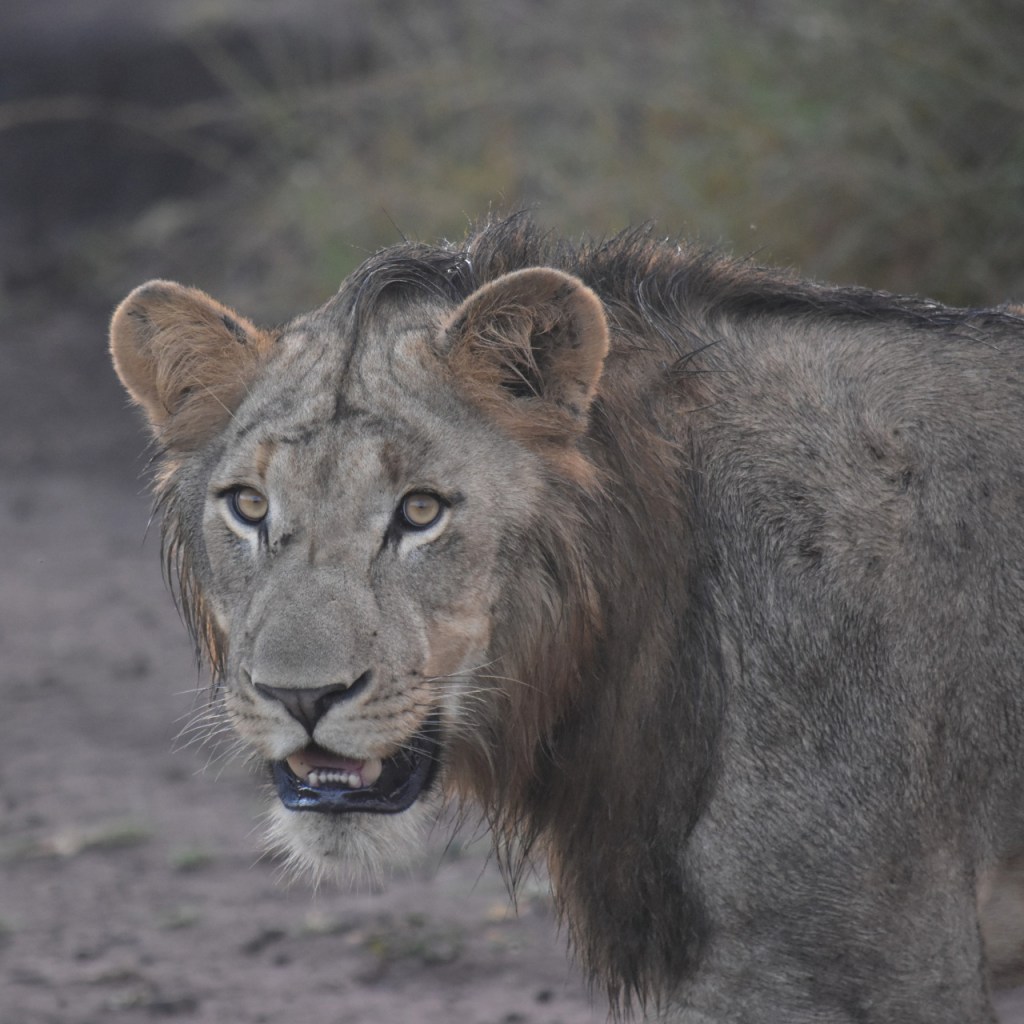 Afrika-Abenteuer 2024: Tag 13 – Ein gebührender&nbsp;Abschluss