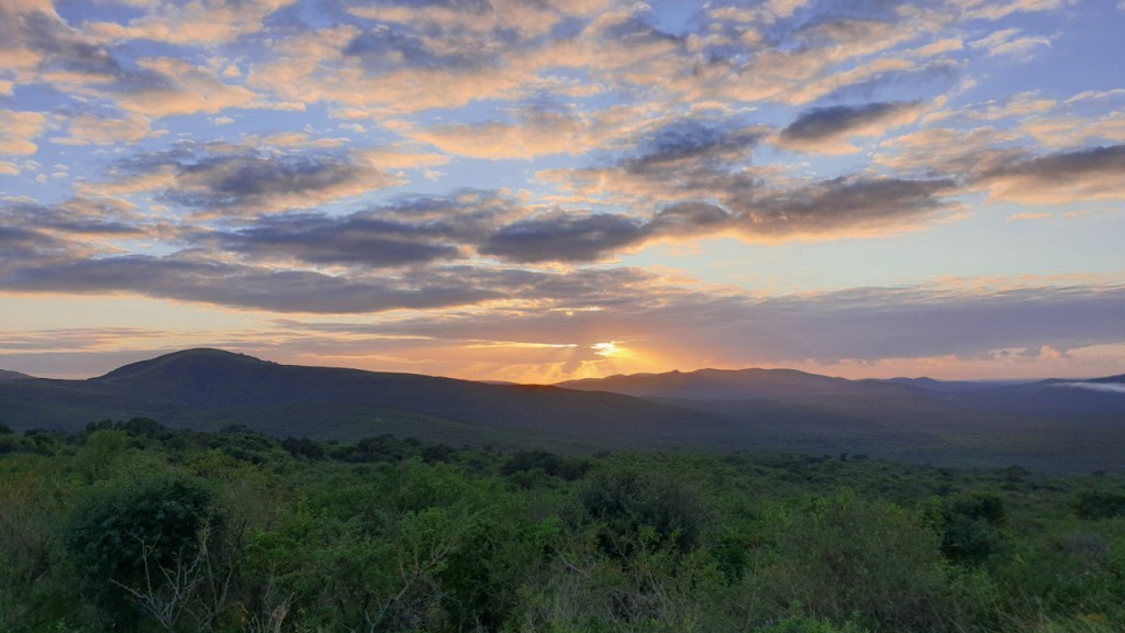 Jetzt ist die Sonne aufgegangen und hüllt alles in ein hübsches morgendliches Licht (© Cornelia Hebrank, 2024)
