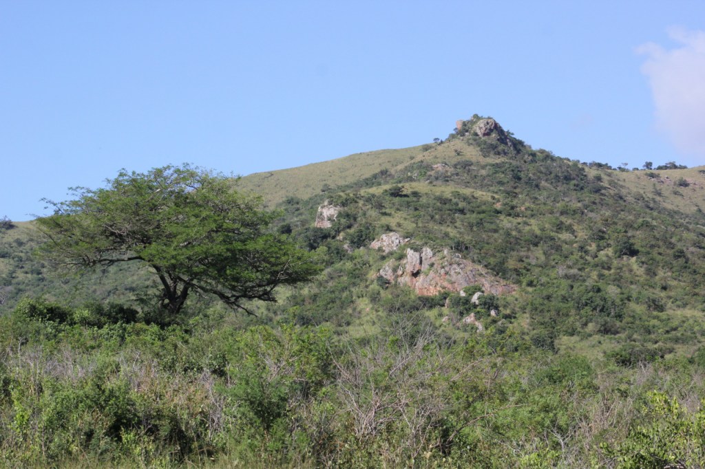 Ausblick auf die Landschaft im Park (© Sebastian Sperling, 2024)
