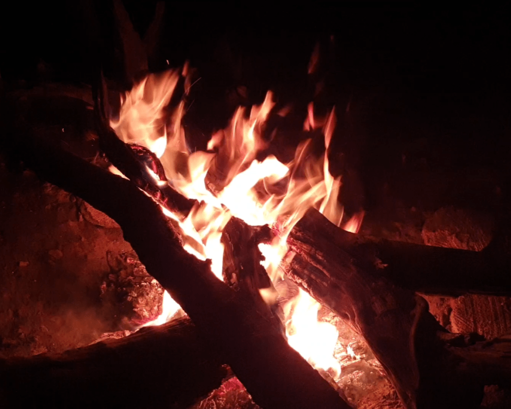 Blick in das Lagerfeuer (© Cornelia Hebrank, 2024)