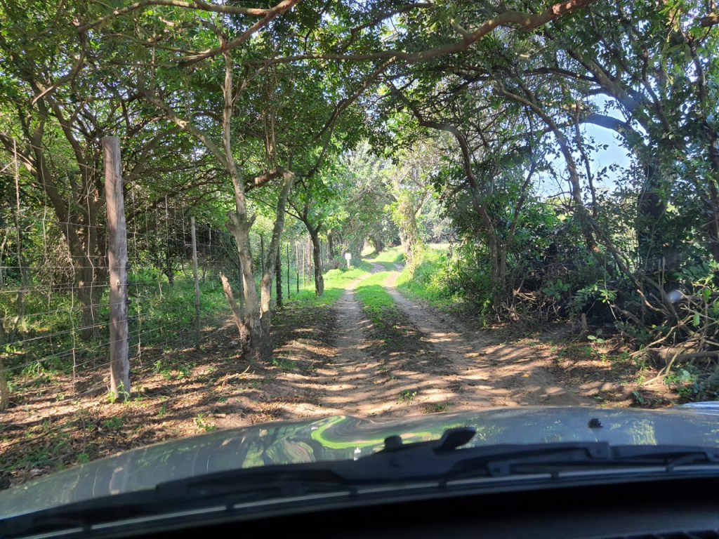 Ausblick aus dem Auto entlang eines Zauns am Rand eines kleinen Feldwegs (© Cornelia Hebrank, 2024)
