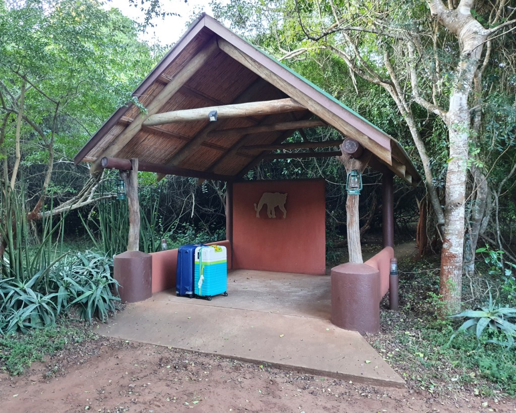 Ein kleiner, überdachter Bereich mit einem Leopardenlogo und unseren Koffern (© Sebastian Sperling, 2024)