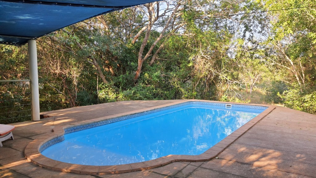 Blick auf den Pool, der direkt in den Wald integriert ist mit nur einem kleinen Bereich außenrum (© Cornelia Hebrank, 2024)