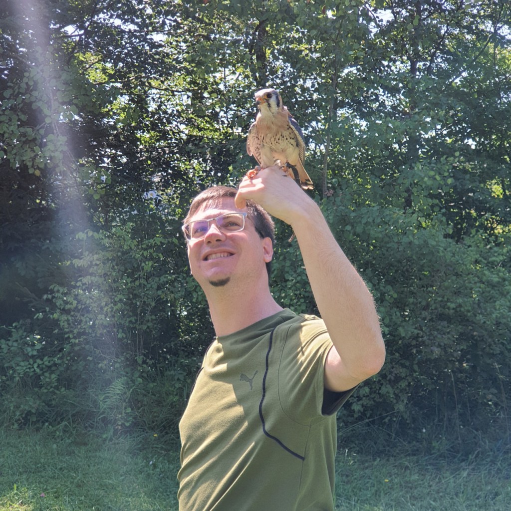 Der Buntfalke sitzt auf Sebastians erhobener Hand (© Cornelia Hebrank, 2024)