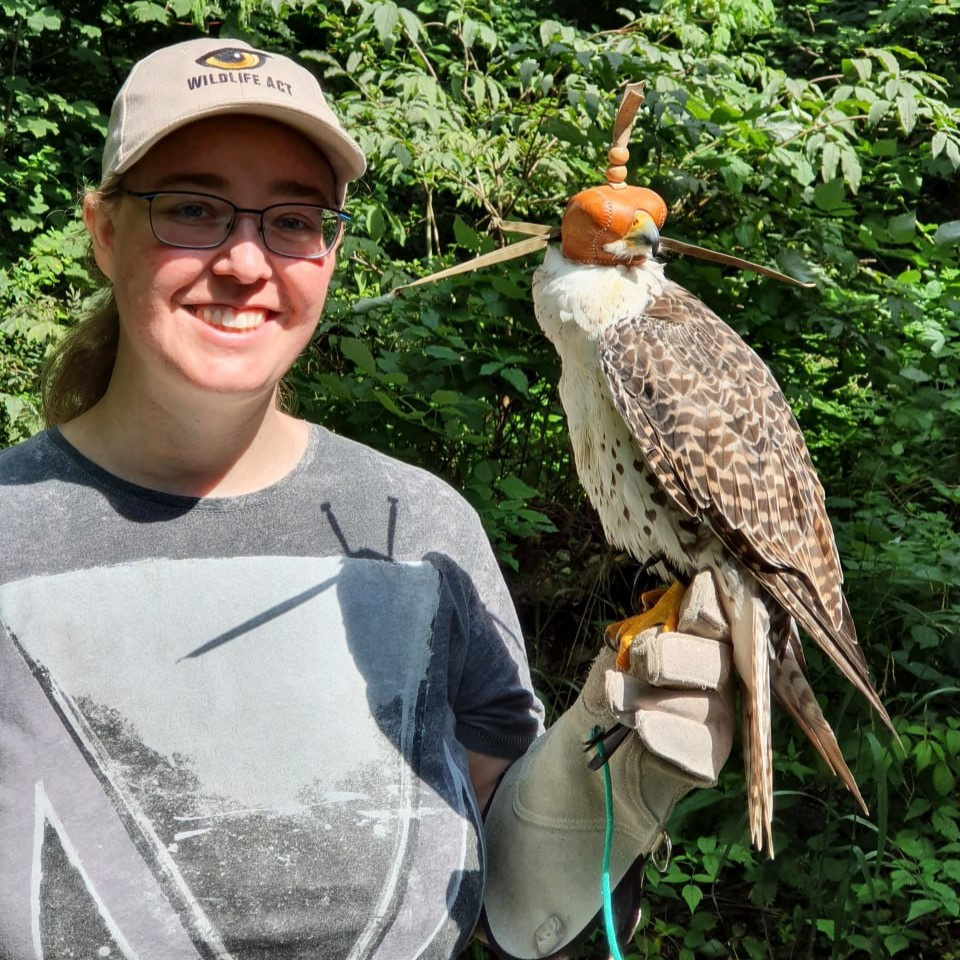 Natur nahe Nürnberg: Einen Tag Falkner&nbsp;sein