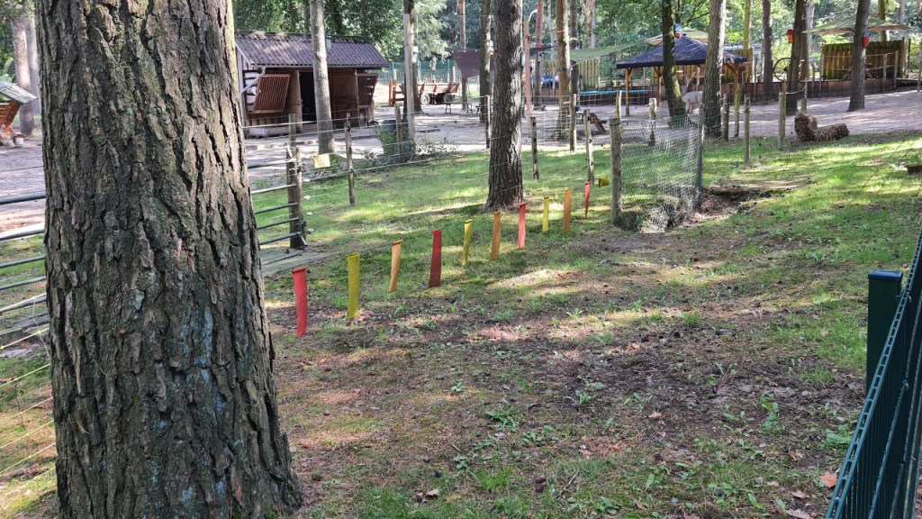 Blick über eine Mischung von verschiedenen Zäunen mit dem Alpaka-Gehege im Hintergrund (© Cornelia Hebrank, 2024)
