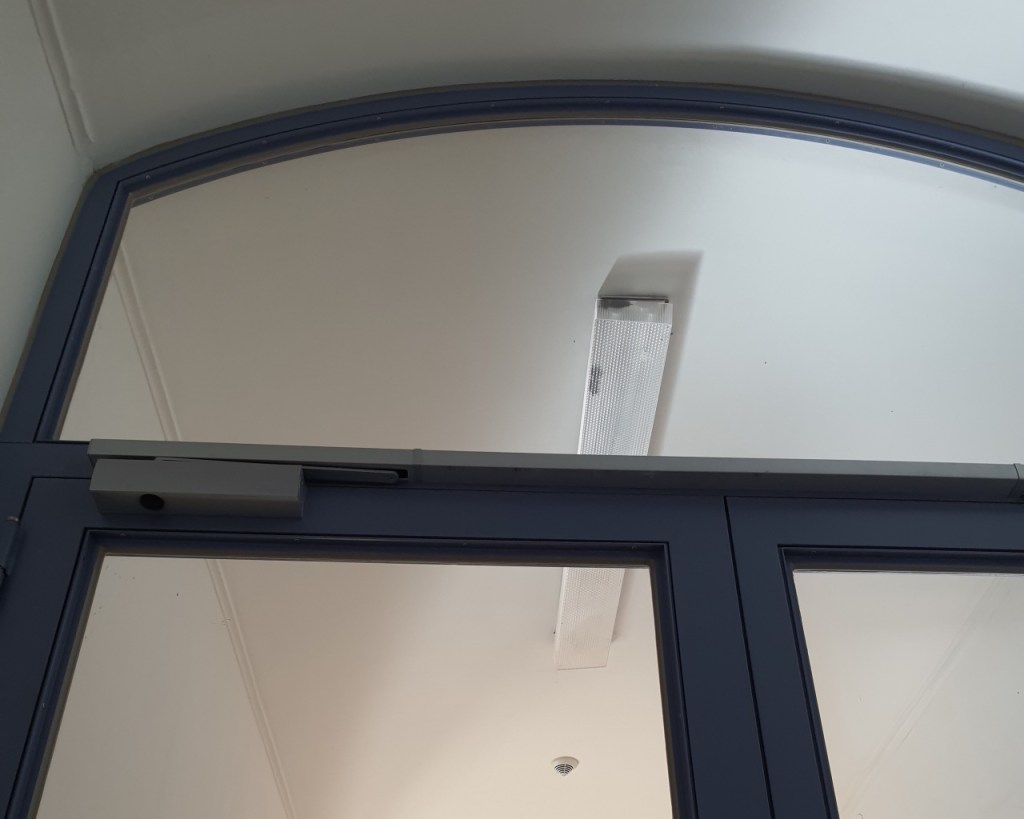 Blick von der anderen Seite, wodurch man nochmal zwei weitere Fledermäuse sehen kann (© Cornelia Hebrank, 2024)