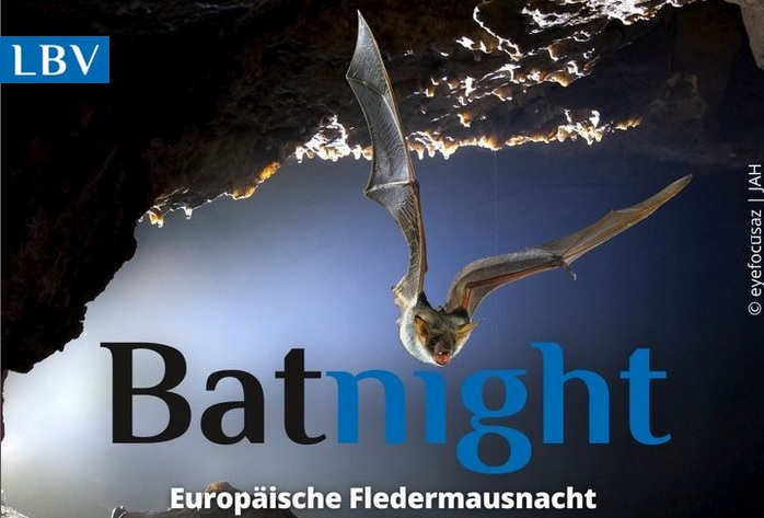 Werbebild zur BatNight vom LBV