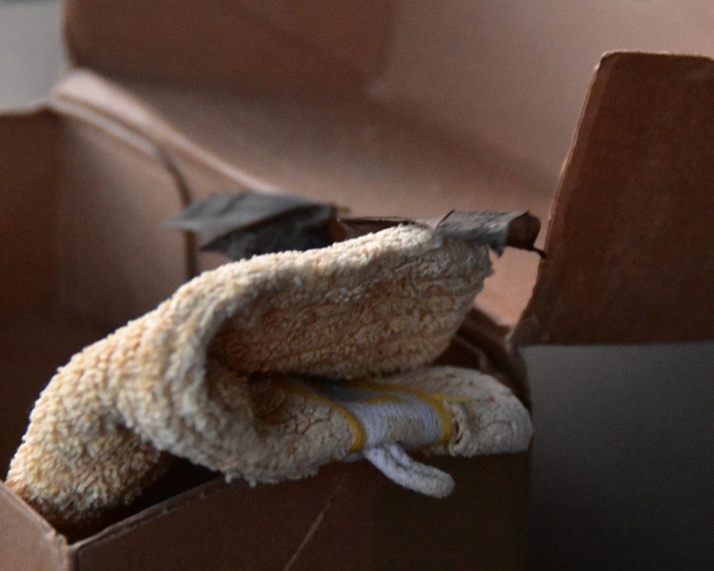 Fledermaus beim Abflug aus meiner Box, man sieht nur die aufgespannten Flügel, dann ging alles ganz schnell (© Cornelia Hebrank, 2024)