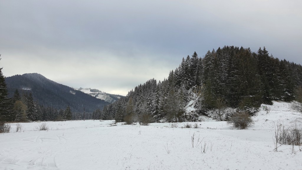 Blick auf die Berge mit einer verschneiten Fläsche im Vordergrund (© Cornelia Hebrank, 2024)
