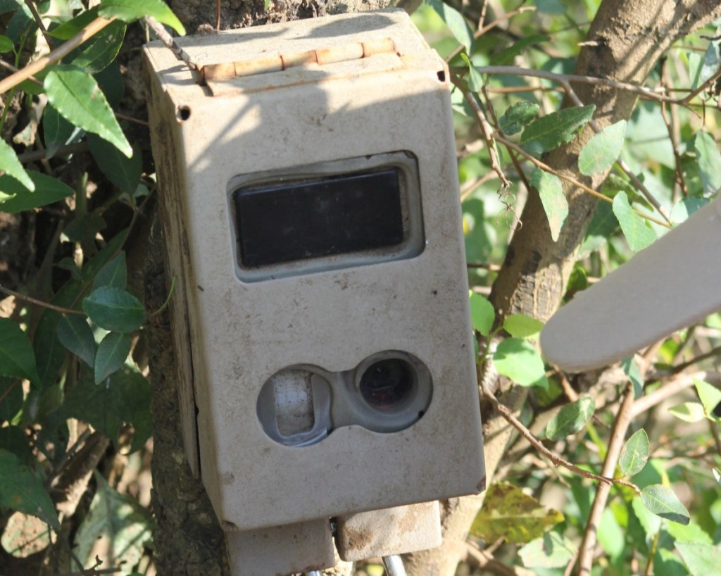 Eine Wildkamera oder Kamerafalle aus Afrika (© Cornelia Hebrank, 2024)