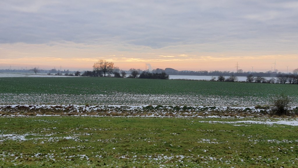Blick von einem der Nebendeiche (© Cornelia Hebrank, 2023)
