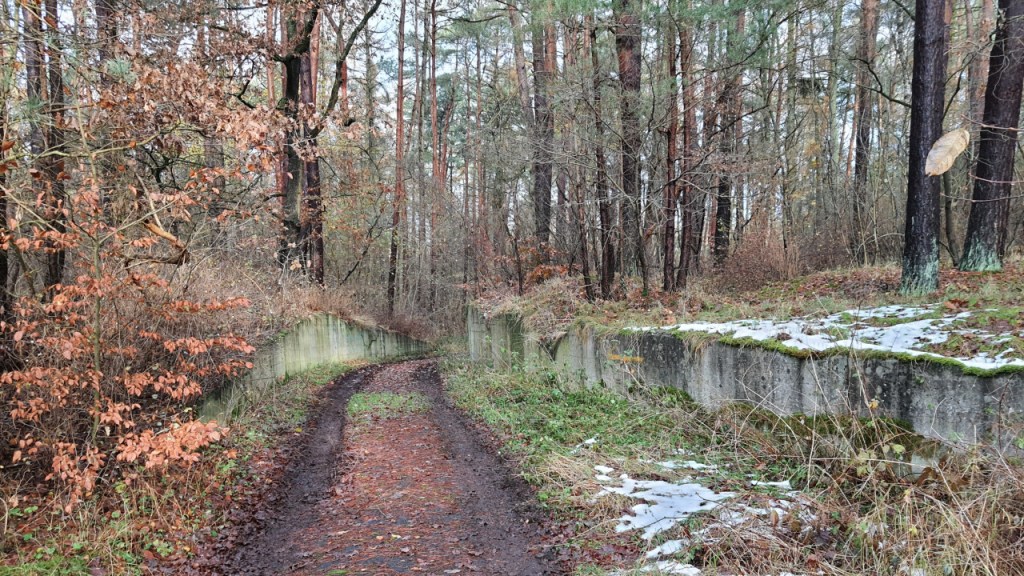 Matschiger Feldweg im Wald (© Cornelia Hebrank, 2023)