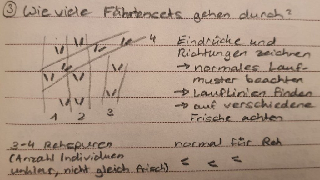 Notizbucheintrag zu überlagenden Spuren an einem Hang