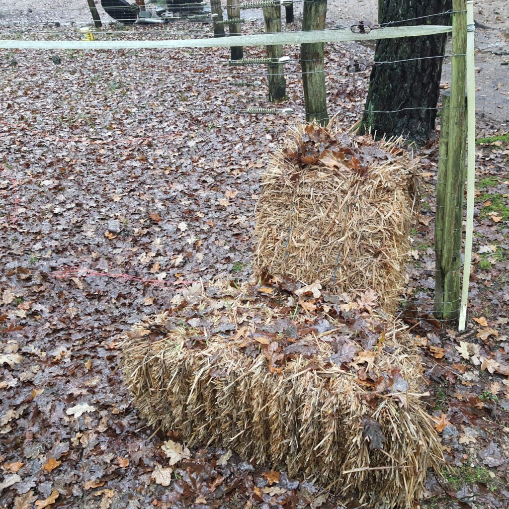 Heuballen sind an einen Zaun gelehnt, fast wie eine Treppe... (© Cornelia Hebrank, 2023)