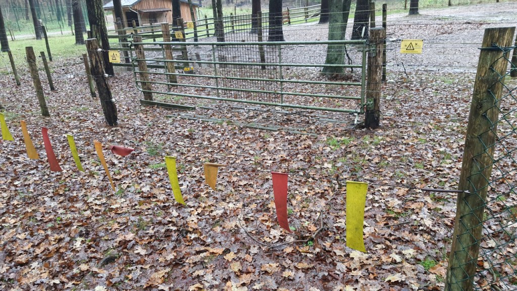 Ausschnitt aus der Zaunsammlung des Wolfcenters (© Cornelia Hebrank, 2023)