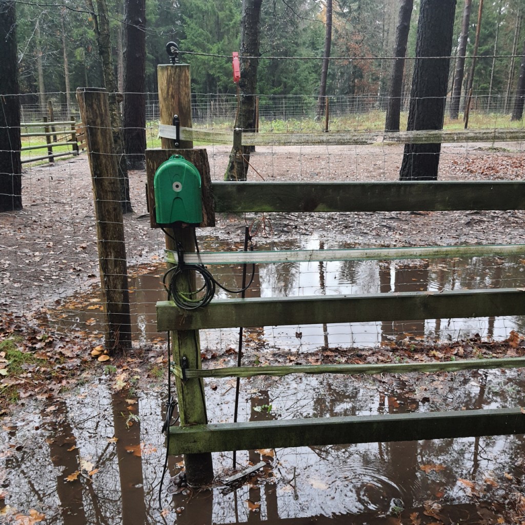 Ein Holzzaun mit zusätzlicher Elektrifizierung (© Cornelia Hebrank, 2023)