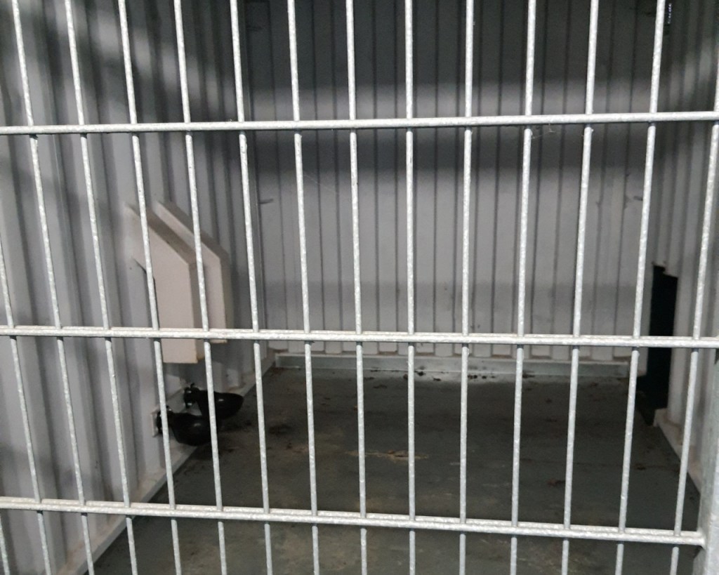 Innenraum der Auffangstation mit Fütterungsstation und Klappe nach außen (© Cornelia Hebrank, 2023)