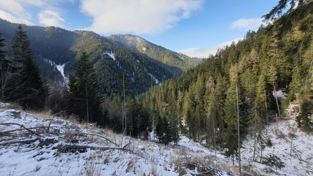 Ausblick über ein Tal am Rande der slowakischen Tatra (© Cornelia Hebrank, 2024)