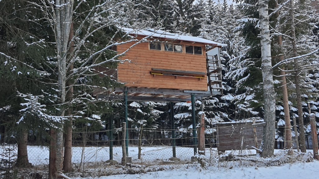 Ein hochgebauter Bienenstock (© Cornelia Hebrank, 2024)