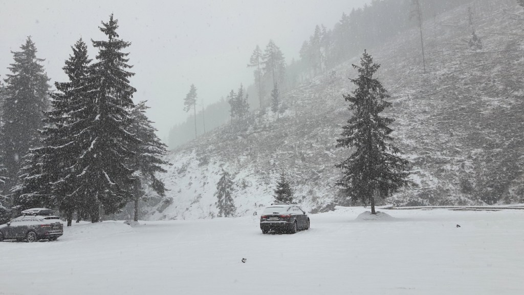 Ein Berghang mit einigen freistehenden Bäumen und einem Parkplatz im Schnee (© Cornelia Hebrank, 2024)