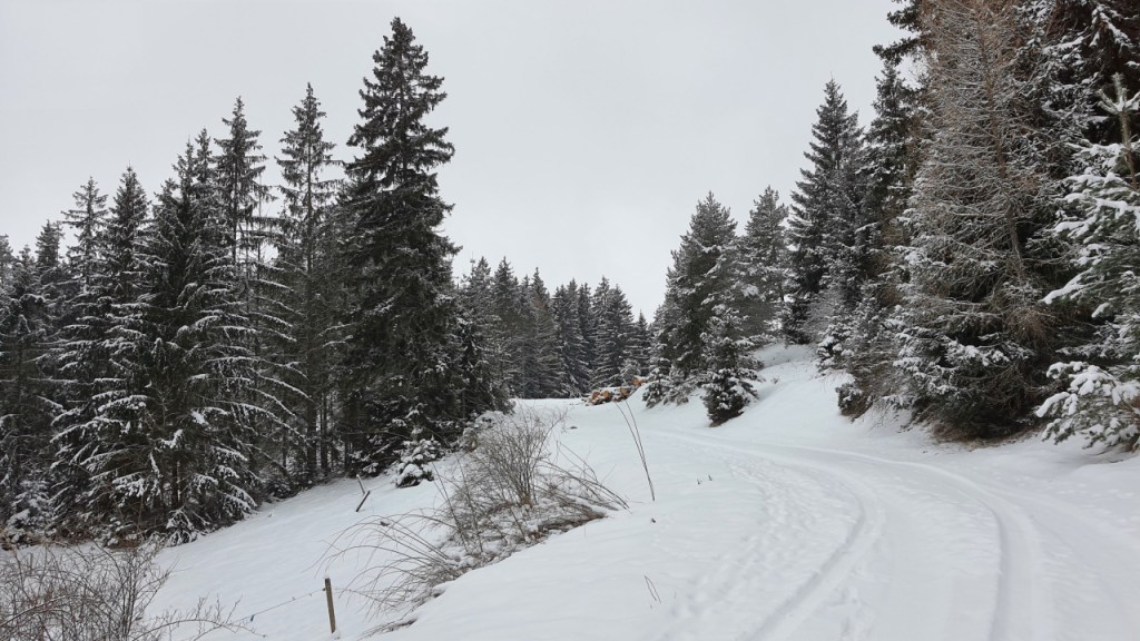 Workshop Wolf – Tag 8: Ein Rätsel im&nbsp;Schnee