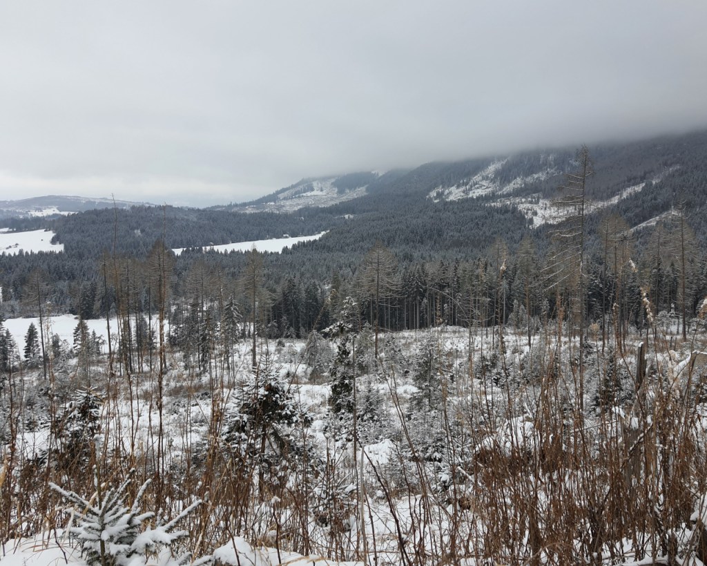 Weiterer Blick auf die niederen Wälder des Tales (© Cornelia Hebrank, 2024)