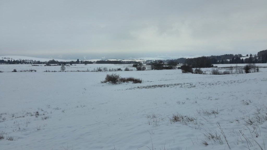 Die eingeschneite Ebene mit den Bergen im Hintergrund (© Cornelia Hebrank, 2024)