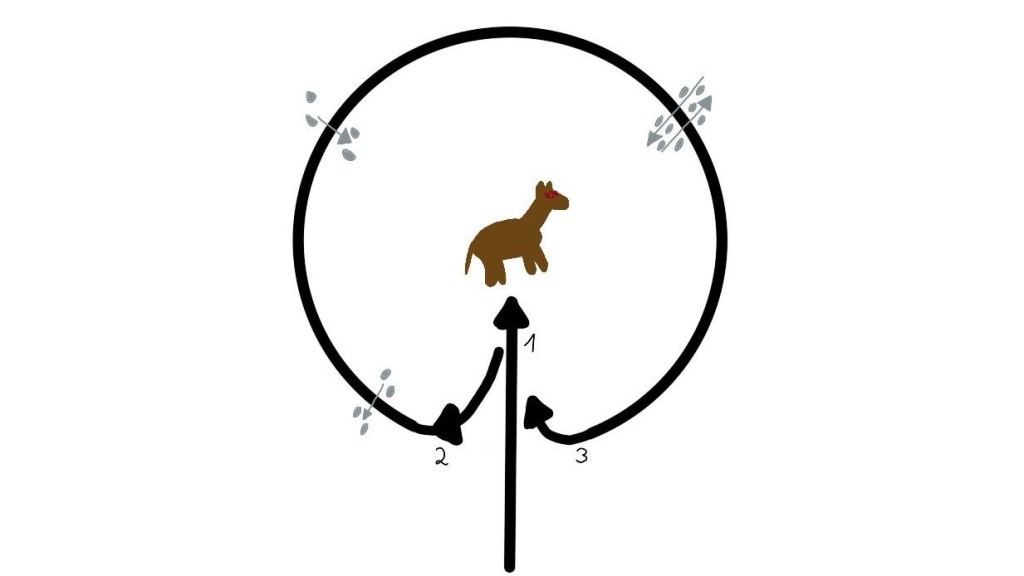 Skizze zur Rissbegutachtung im Feld