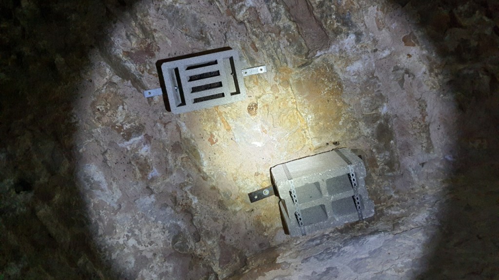 Zwei aufgehängte Steine, einer davon extra als Hilfe für Fledermäuse. Dieser ist auch durch einige Zwergfledermäuse besetzt, der andere ist leer. (© Cornelia Hebrank, 2025)