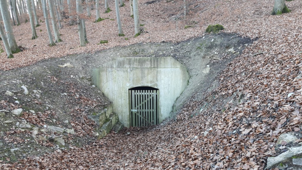 Ein Kellereingang (© Cornelia Hebrank, 2025)