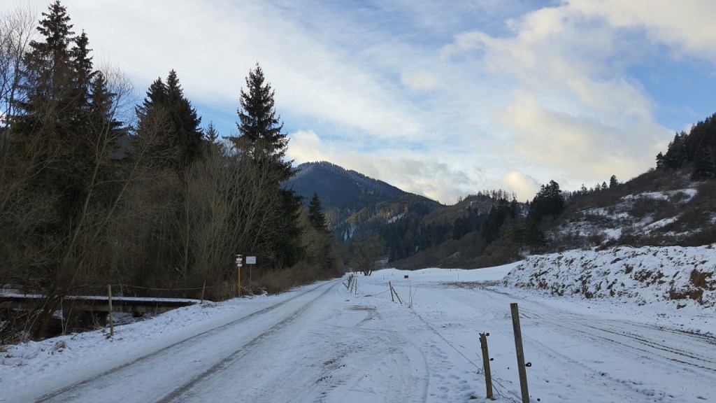 Blick auf die Berge der Tatra vom Rand einer eingeschneiten Straße (© Cornelia Hebrank, 2024)
