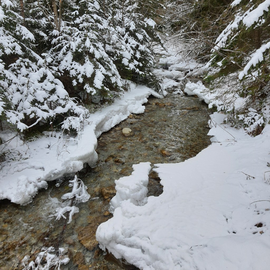 Blick auf den kleinen Bach, den wir überqueren konnten (© Cornelia Hebrank, 2024)
