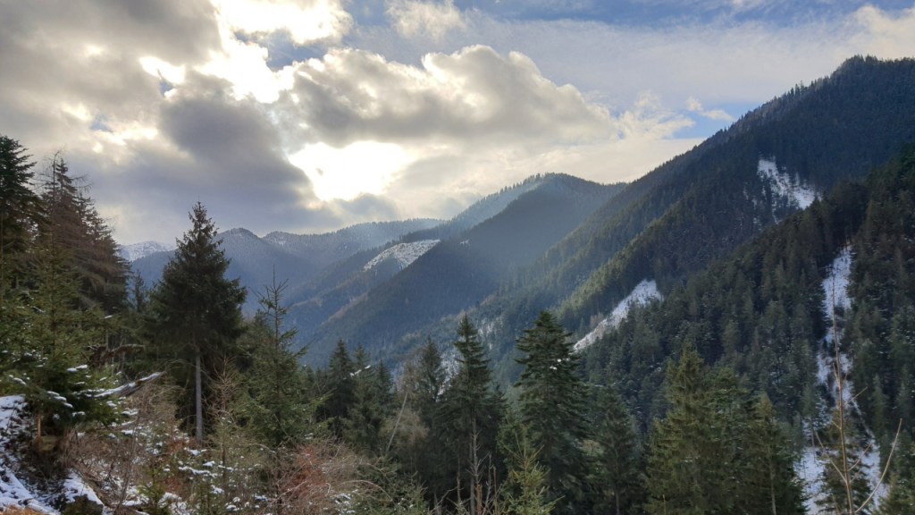 Blick über ein bewaldetes Tal in der Tatra (© Cornelia Hebrank, 2024)