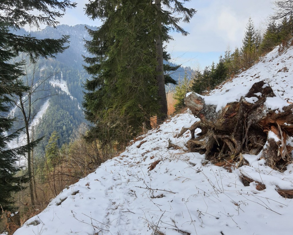 Ein schmaler Pfad am Hang, im Schnee (© Cornelia Hebrank, 2024)