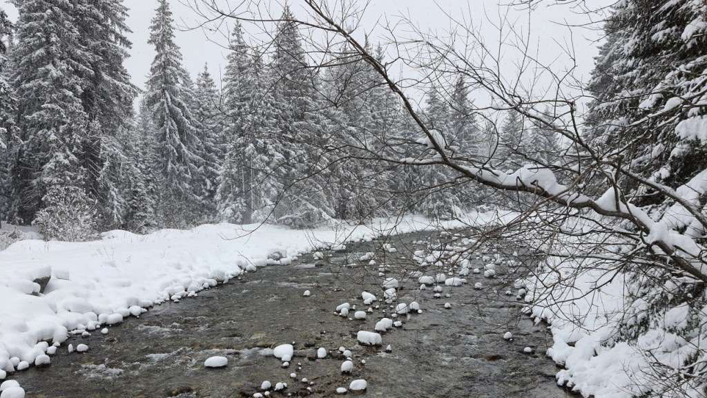 Ein Blick auf die winterliche Flusslandschaft (© Cornelia Hebrank, 2024)