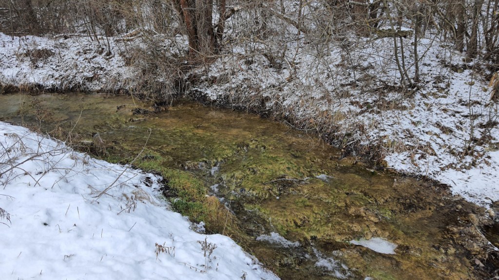 Workshop Wolf – Tag 11: Einen Tag&nbsp;Pause