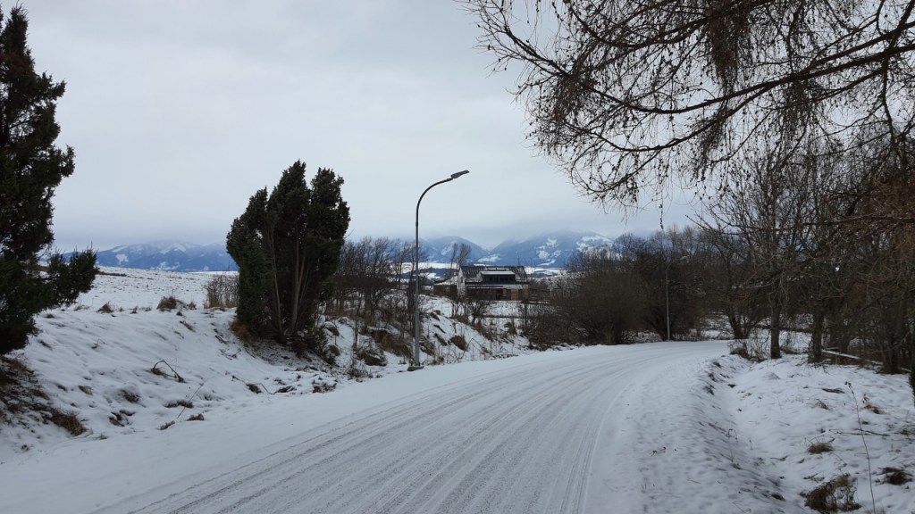 Ein Blick über eine verschneite Straße auf das Dorf im Hintergrund (© Cornelia Hebrank, 2024)