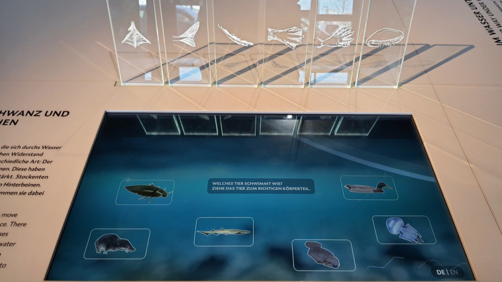 Ansicht eines interaktiven Quizzes (© Cornelia Hebrank, 2025)