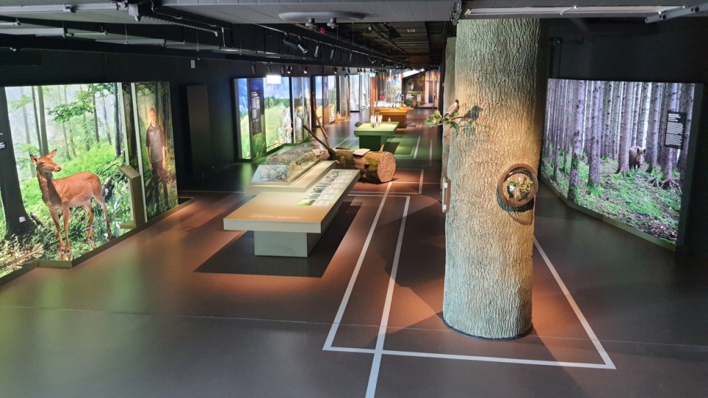 Blick auf das untere Stockwerk (© Cornelia Hebrank, 2025)