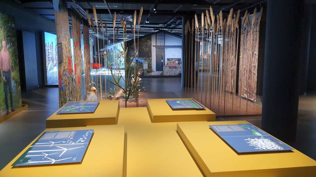 Ausstellung über menschliche Faktoren (© Cornelia Hebrank, 2025)